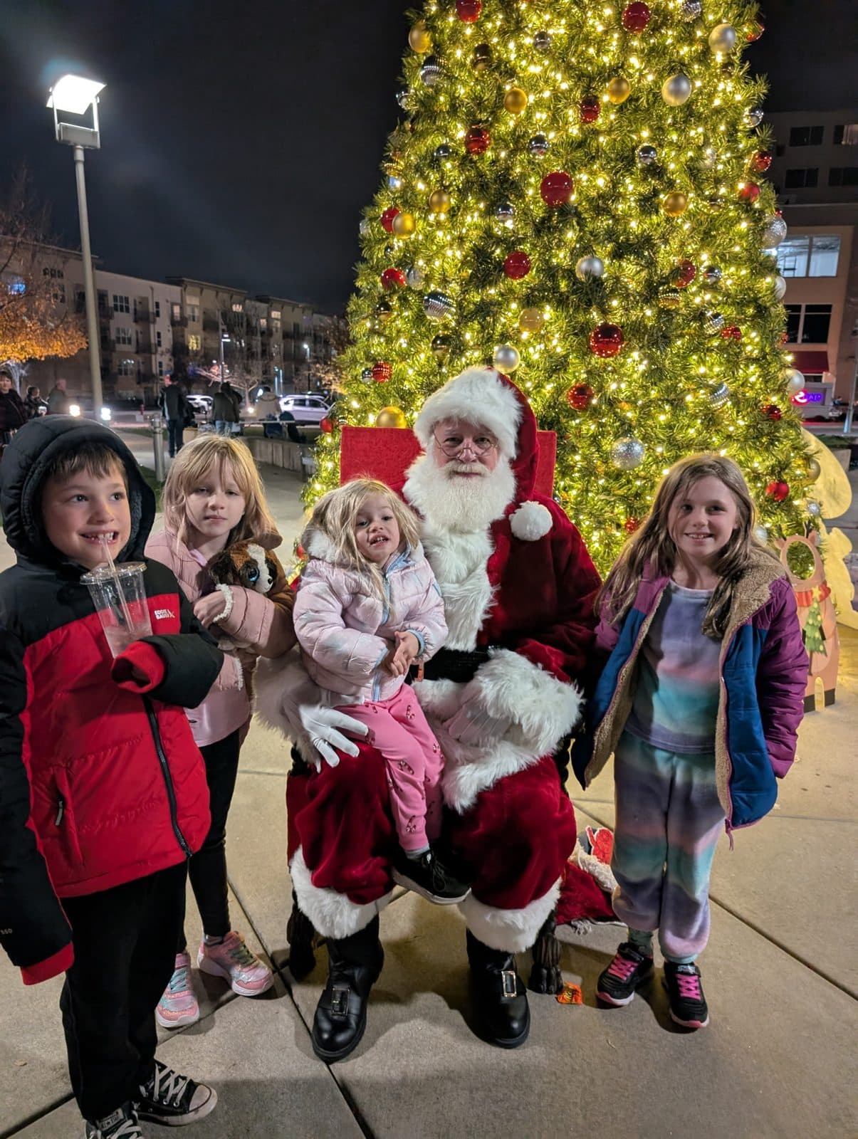 tree lighting night