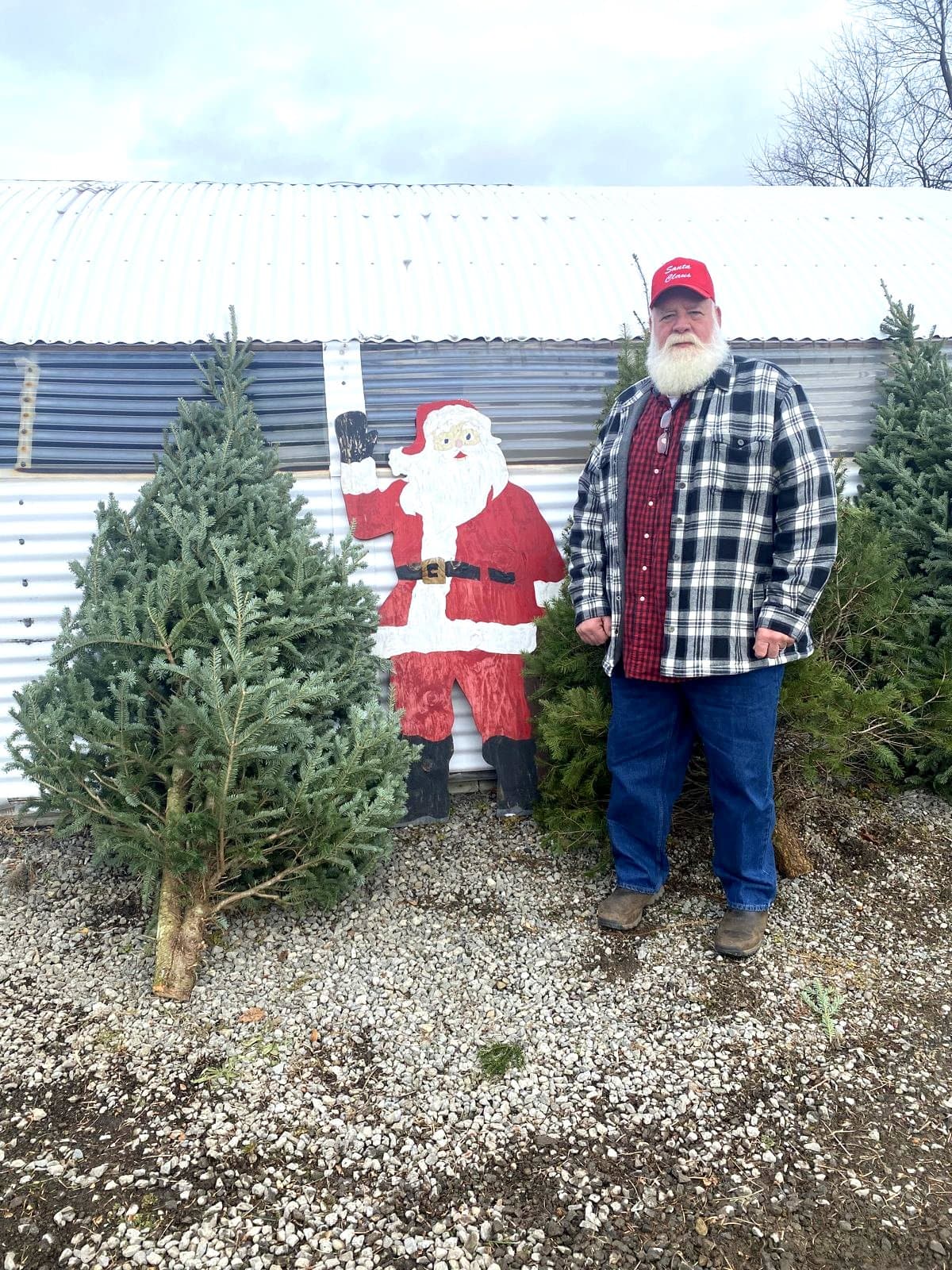 picking the perfect tree